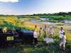 Mala Mala Main Camp - Game Drive 